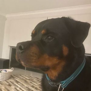 Meet your Posher, Sue